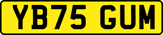 YB75GUM