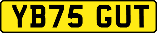 YB75GUT