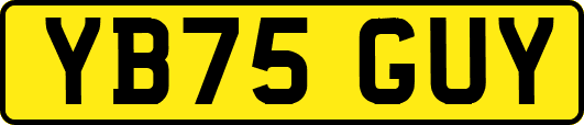 YB75GUY