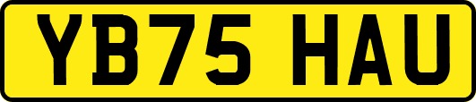 YB75HAU
