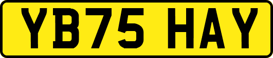 YB75HAY