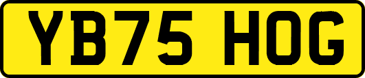 YB75HOG