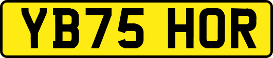 YB75HOR