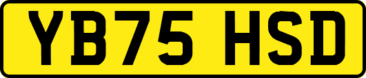 YB75HSD