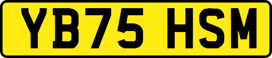YB75HSM