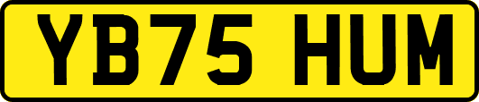 YB75HUM
