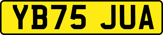 YB75JUA