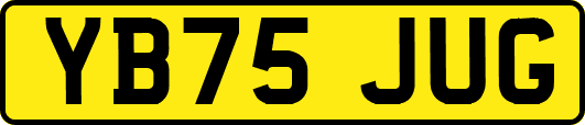 YB75JUG