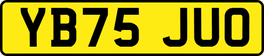 YB75JUO