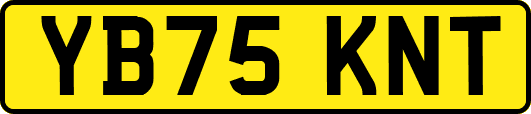 YB75KNT