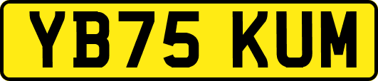 YB75KUM
