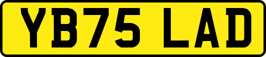 YB75LAD