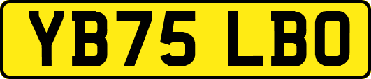 YB75LBO