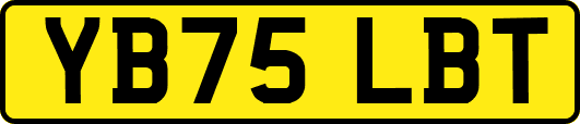 YB75LBT