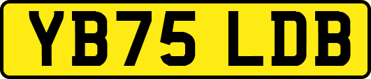 YB75LDB