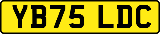 YB75LDC