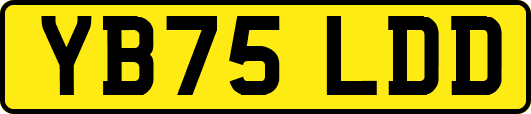 YB75LDD