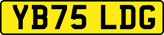 YB75LDG