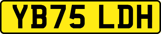 YB75LDH