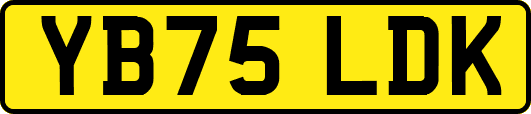 YB75LDK