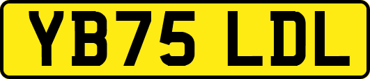 YB75LDL