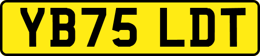 YB75LDT