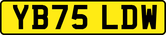 YB75LDW