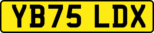 YB75LDX
