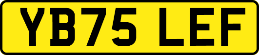 YB75LEF