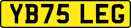 YB75LEG