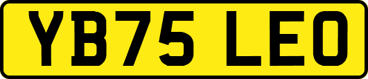 YB75LEO