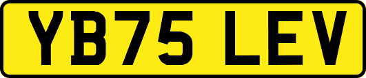 YB75LEV
