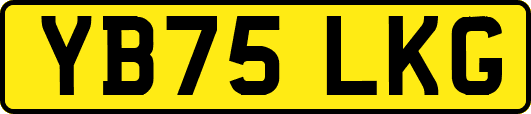 YB75LKG