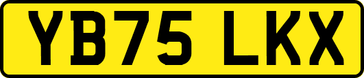 YB75LKX