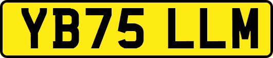 YB75LLM