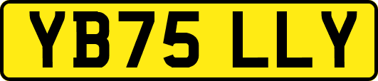 YB75LLY