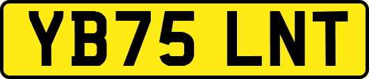 YB75LNT