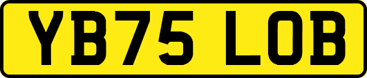 YB75LOB