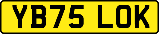 YB75LOK