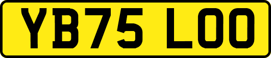 YB75LOO