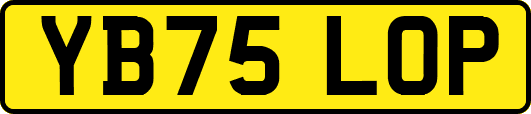 YB75LOP