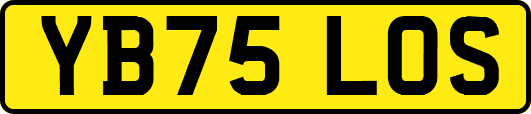 YB75LOS
