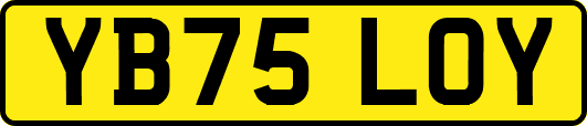 YB75LOY