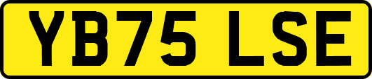 YB75LSE