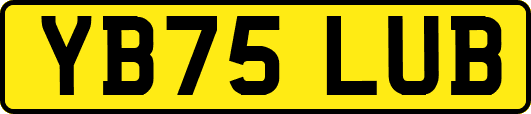 YB75LUB
