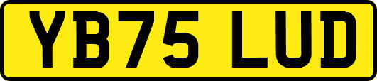 YB75LUD