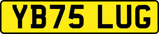 YB75LUG