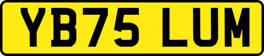 YB75LUM