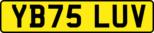 YB75LUV