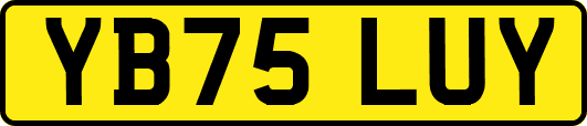 YB75LUY